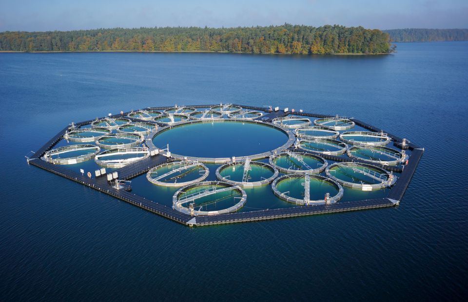 Aluminiumverarbeitung